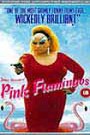 Pink Flamingos
